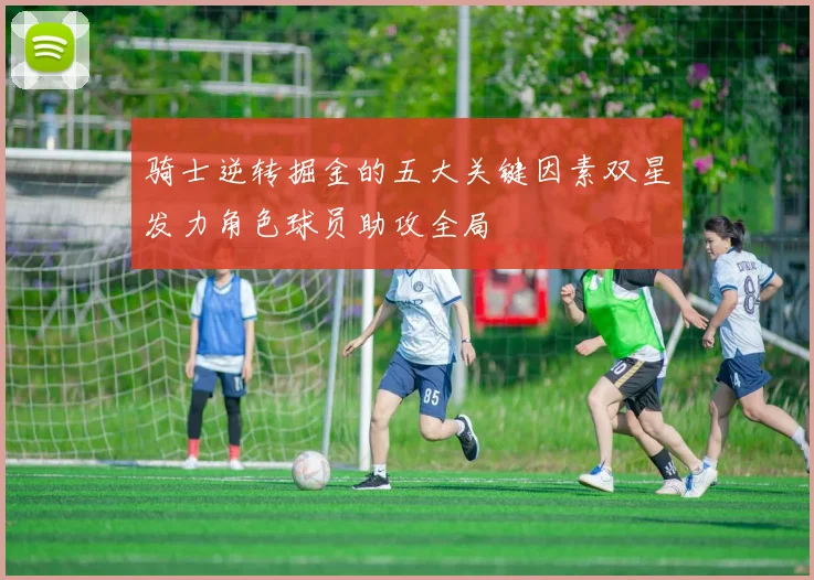 骑士逆转掘金的五大关键因素双星发力角色球员助攻全局