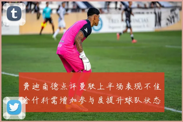 费迪南德点评曼联上半场表现不佳舍什科需增加参与度提升球队状态