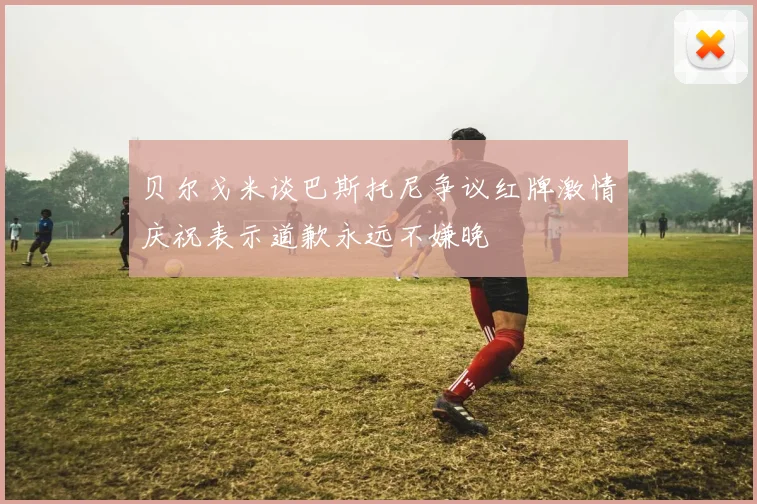 贝尔戈米谈巴斯托尼争议红牌激情庆祝表示道歉永远不嫌晚